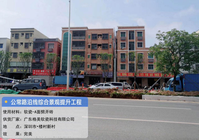 深圳市光明區(qū)公常路沿線(xiàn)綜合景觀提升改造項目